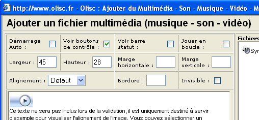 Le plein d'options pour la matrise totale du multimédia sur vos pages web.